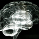 Illustration for article titled Is it degrading to feature actual human brains in your art?